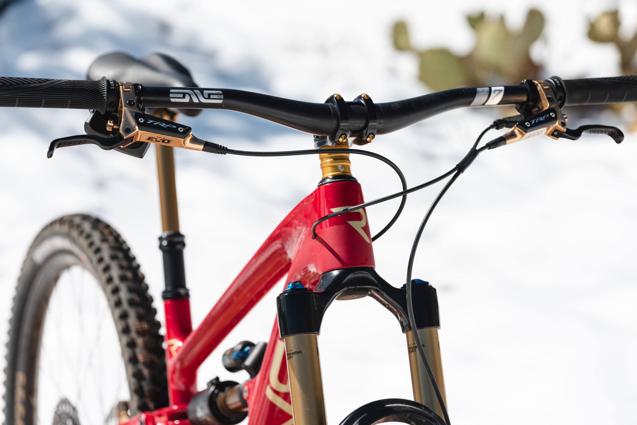 Revel Rail29 Mountain Bike Review